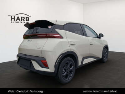 BYD Dolphin Surf Neuwagen