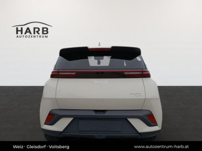 BYD Dolphin Surf Neuwagen