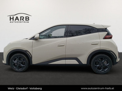 BYD Dolphin Surf Neuwagen