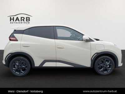 BYD Dolphin Surf Neuwagen