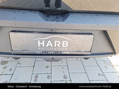 BYD Dolphin Surf Neuwagen