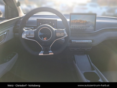 BYD Dolphin Surf Vorführwagen