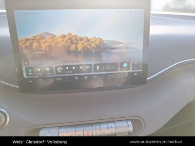 BYD Dolphin Surf Vorführwagen