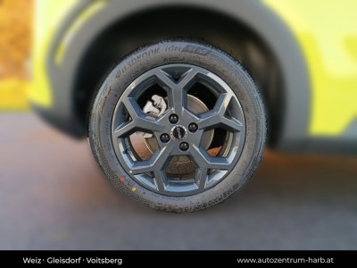 BYD Dolphin Surf Neuwagen