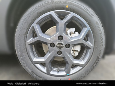 BYD Dolphin Surf Neuwagen