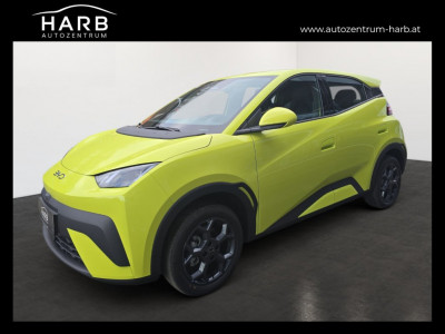 BYD Dolphin Surf Neuwagen