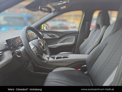 BYD Dolphin Surf Neuwagen