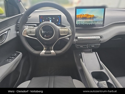 BYD Dolphin Surf Neuwagen