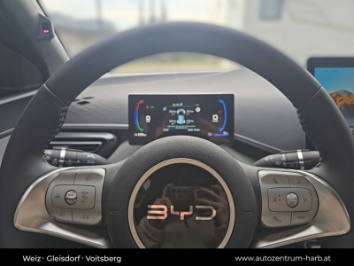 BYD Dolphin Surf Neuwagen