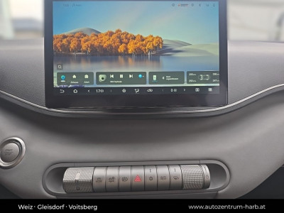 BYD Dolphin Surf Neuwagen