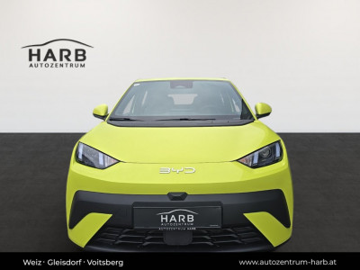 BYD Dolphin Surf Neuwagen