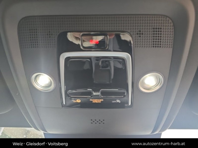 BYD Dolphin Surf Neuwagen