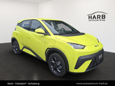 BYD Dolphin Surf Neuwagen