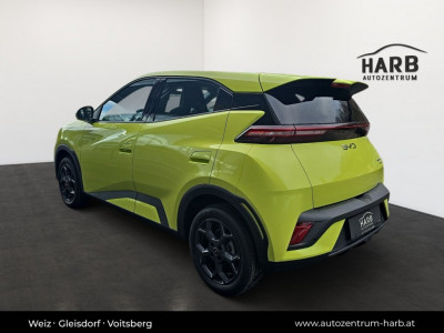 BYD Dolphin Surf Neuwagen