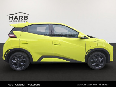 BYD Dolphin Surf Neuwagen