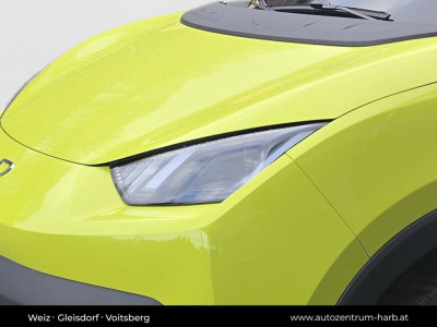 BYD Dolphin Surf Neuwagen