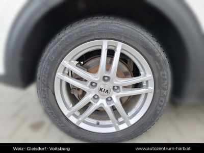 KIA Niro Gebrauchtwagen