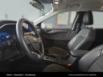 Ford Kuga Gebrauchtwagen