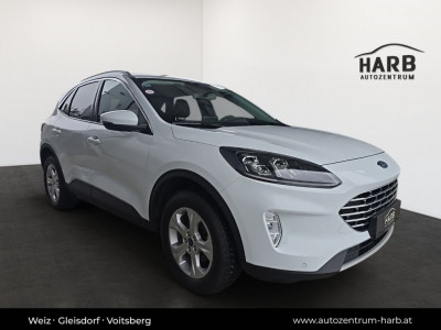 Ford Kuga Gebrauchtwagen