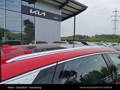 BYD Atto 3 Gebrauchtwagen BYD Atto 3 Gebrauchtwagen