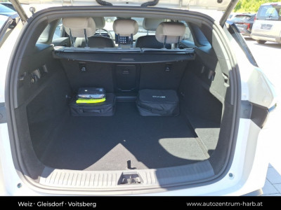 BYD Seal 6 Neuwagen