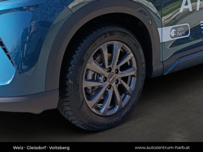 BYD Atto 2 Vorführwagen BYD Atto 2 Vorführwagen