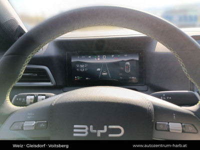 BYD Atto 2 Vorführwagen BYD Atto 2 Vorführwagen