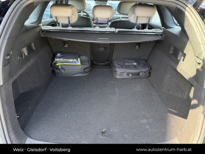 BYD Seal 6 Neuwagen BYD Seal 6 Neuwagen