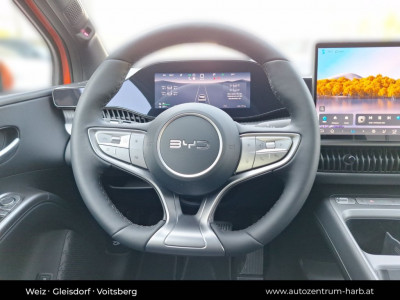 BYD Dolphin G Vorführwagen BYD Dolphin G Vorführwagen