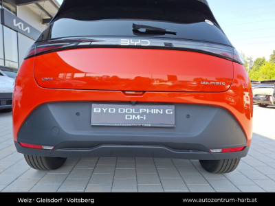 BYD Dolphin G Vorführwagen BYD Dolphin G Vorführwagen