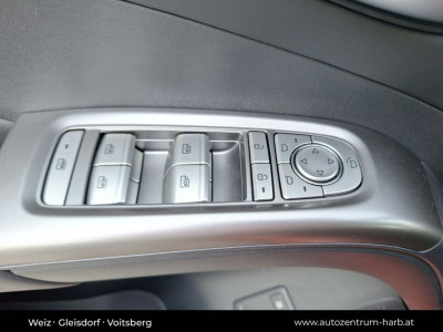 BYD Dolphin G Vorführwagen BYD Dolphin G Vorführwagen