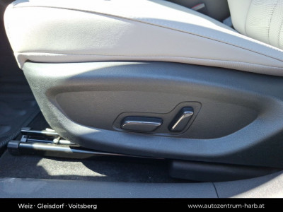 BYD Seal 6 Neuwagen
