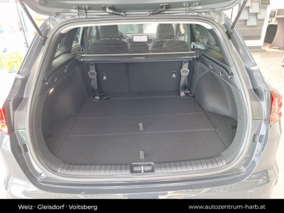 KIA Ceed Vorführwagen KIA Ceed Vorführwagen