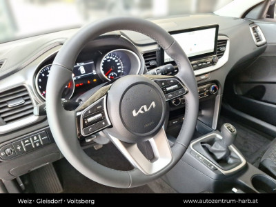 KIA Ceed Vorführwagen KIA Ceed Vorführwagen
