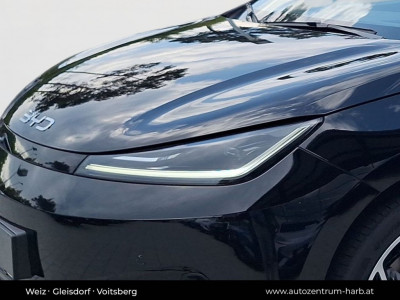 BYD Dolphin G Neuwagen
