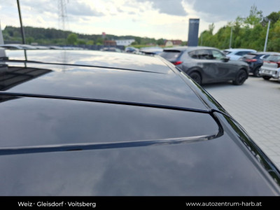 BYD Dolphin G Neuwagen