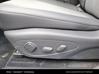 BYD Dolphin G Neuwagen