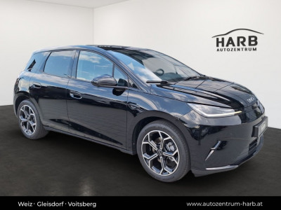 BYD Dolphin G Neuwagen