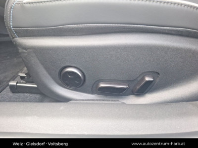 BYD Seal Vorführwagen