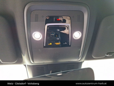 BYD Sealion 7 Neuwagen