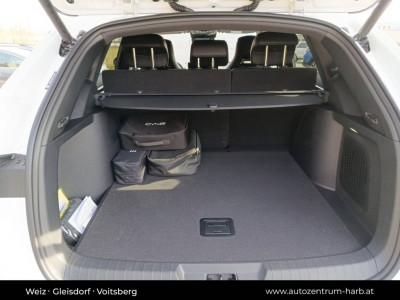 BYD Seal U Neuwagen BYD Seal U Neuwagen