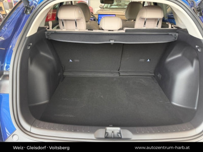 BYD Atto 3 Neuwagen BYD Atto 3 Neuwagen