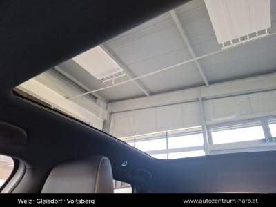 BYD Atto 2 Neuwagen BYD Atto 2 Neuwagen