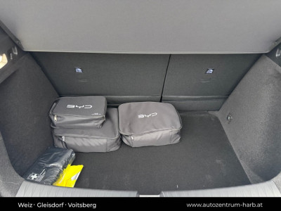 BYD Dolphin G Neuwagen BYD Dolphin G Neuwagen