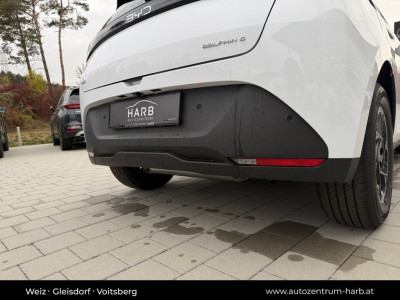 BYD Dolphin G Neuwagen BYD Dolphin G Neuwagen
