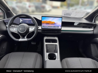 BYD Dolphin G Neuwagen BYD Dolphin G Neuwagen