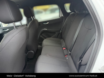 BYD Dolphin G Neuwagen BYD Dolphin G Neuwagen