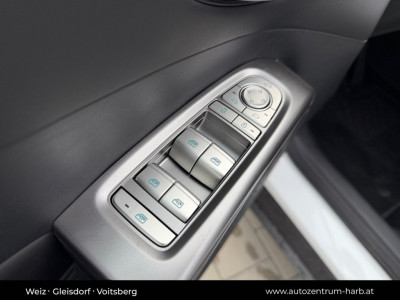 BYD Dolphin G Neuwagen BYD Dolphin G Neuwagen