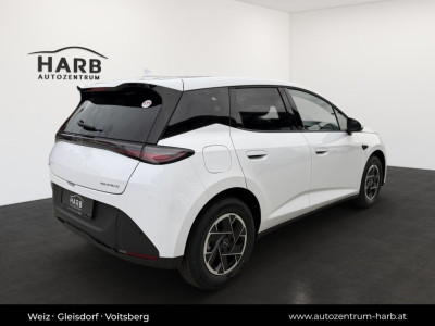 BYD Dolphin G Neuwagen BYD Dolphin G Neuwagen