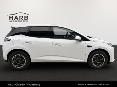 BYD Dolphin G Neuwagen BYD Dolphin G Neuwagen